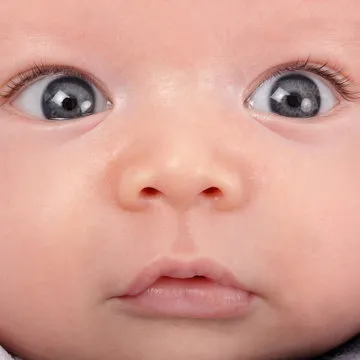 极速数据科学团队